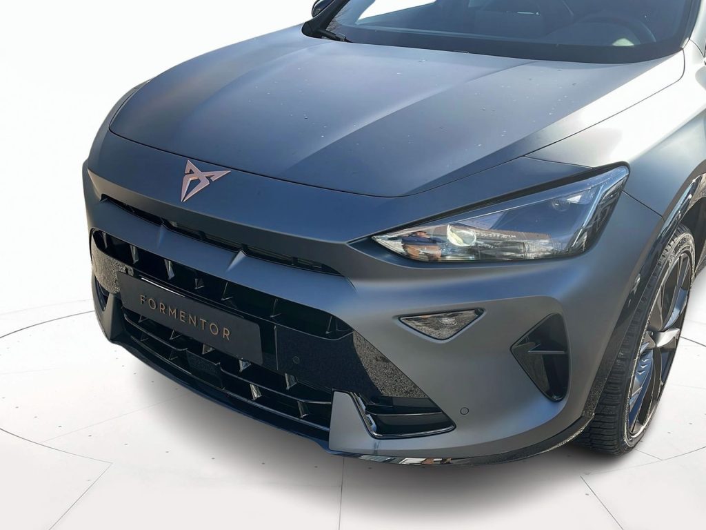 CUPRA Formentor 2.0 tdi 150cv dsg - 16