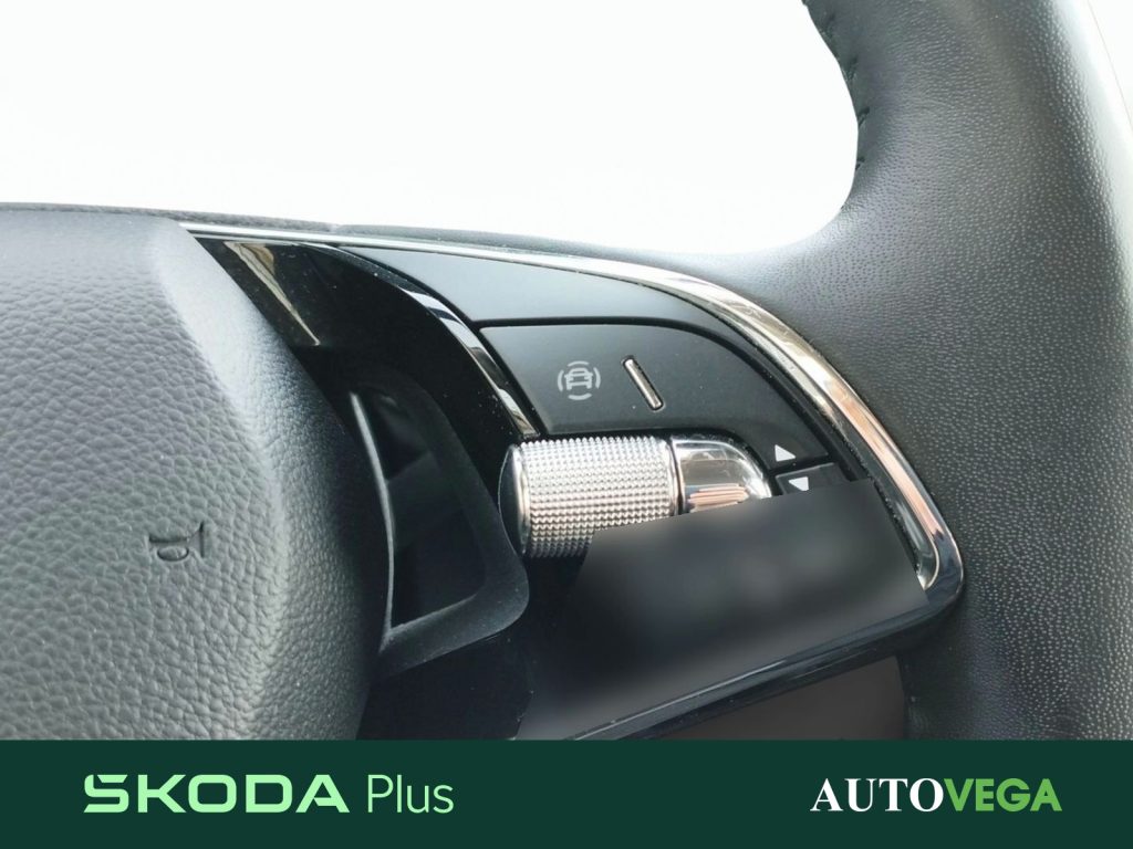 SKODA Kamiq 1.0 tsi ambition 110cv - 17