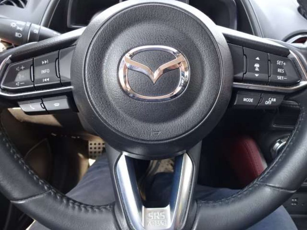 MAZDA CX-3 1.5d Luxury edition 2wd 105cv - 14