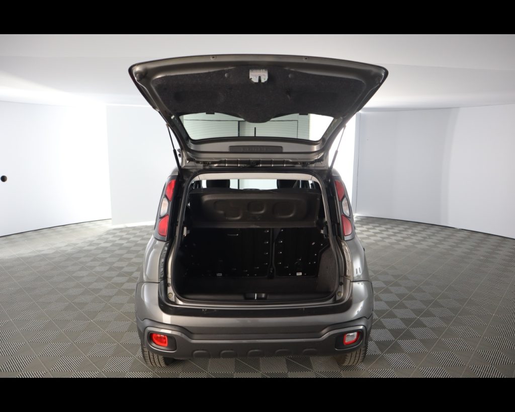 FIAT Panda 1.0 firefly hybrid City Cross s&s 70cv 5p.ti - 20