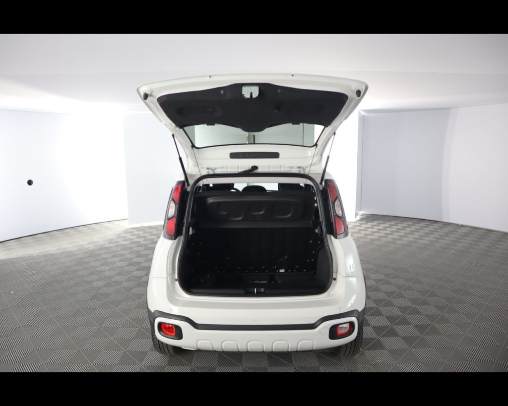 FIAT Panda 1.0 firefly hybrid Cross s&s 70cv 5p.ti - 19