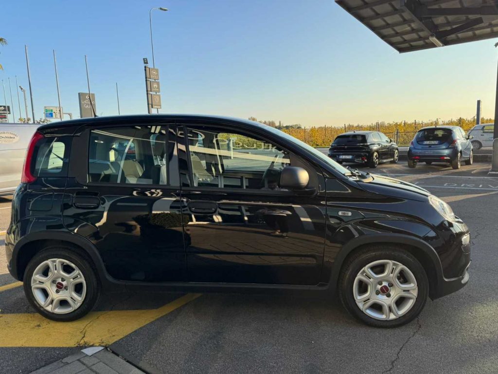 FIAT Panda 1.0 FireFly S&S Hybrid - 5