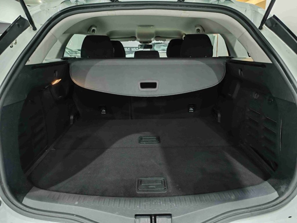 RENAULT Megane Mégane Sporter Blue dCi 115 CV Business - 12