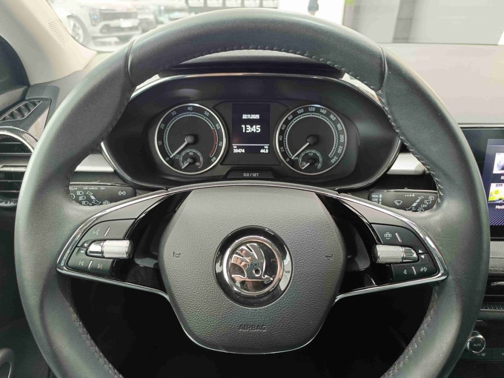 SKODA Fabia 1.0 TSI 110 CV DSG Style - 17