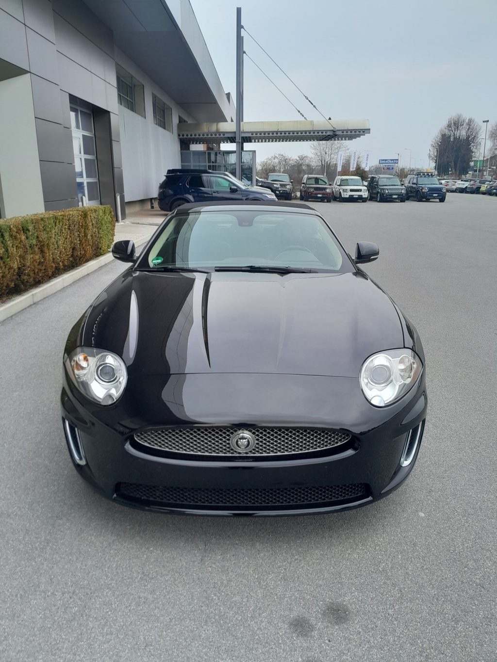 JAGUAR XK XK Cabrio 5.0 Portfolio auto - 2