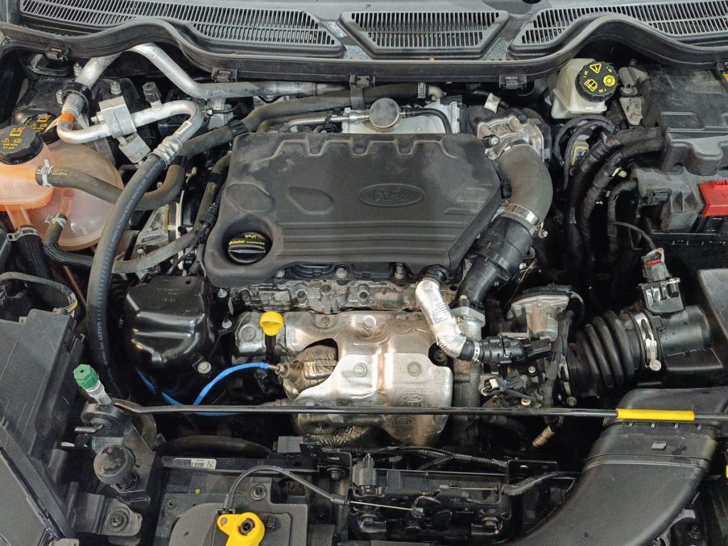 FORD EcoSport 1.5 Ecoblue 95 CV Start&Stop ST-Line - 22