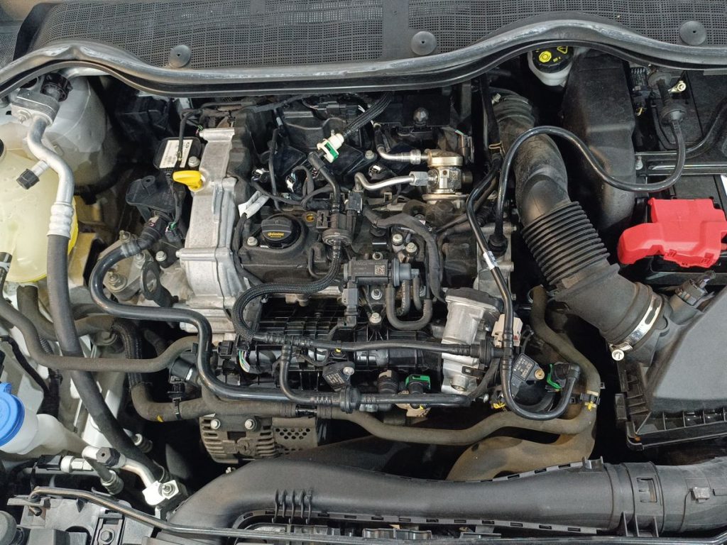 FORD Fiesta 1.0 Ecoboost Hybrid 125 CV 5 porte Titanium - 22