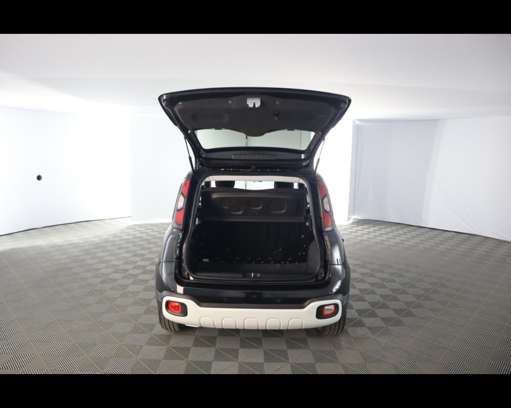 FIAT Pandina III 2024 Cross -  Cross 1.0 firefly hybrid s&s 70 - 19