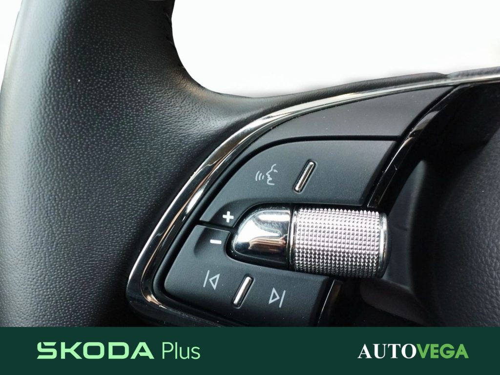 SKODA Fabia 1.0 tsi evo style 110cv - 16