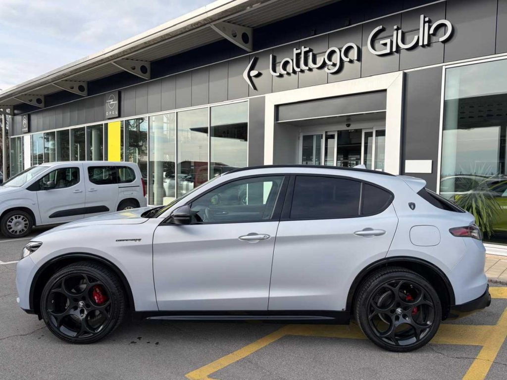 ALFA ROMEO Stelvio 2.2 Turbodiesel 210 CV AT8 Q4 Competizione - 9