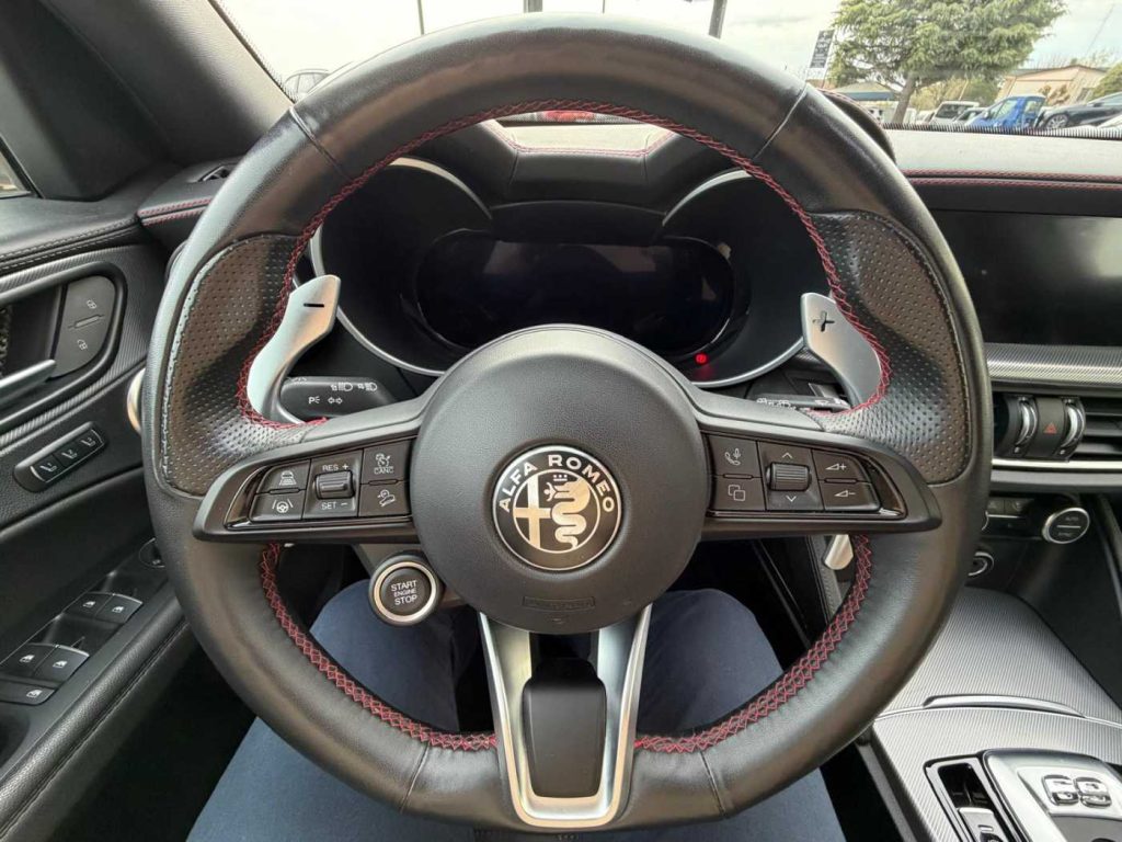 ALFA ROMEO Stelvio 2.2 Turbodiesel 210 CV AT8 Q4 Competizione - 15