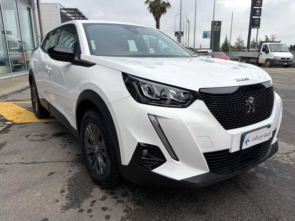 PEUGEOT 2008 PureTech 100 S&S Active - 4