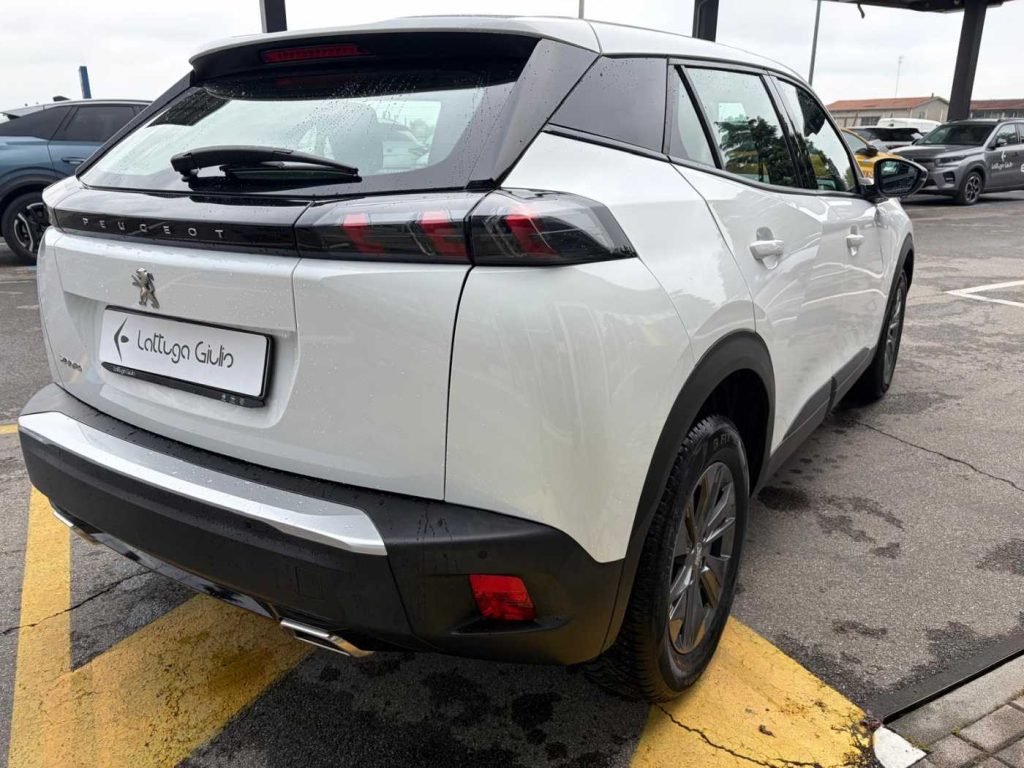 PEUGEOT 2008 PureTech 100 S&S Active - 6