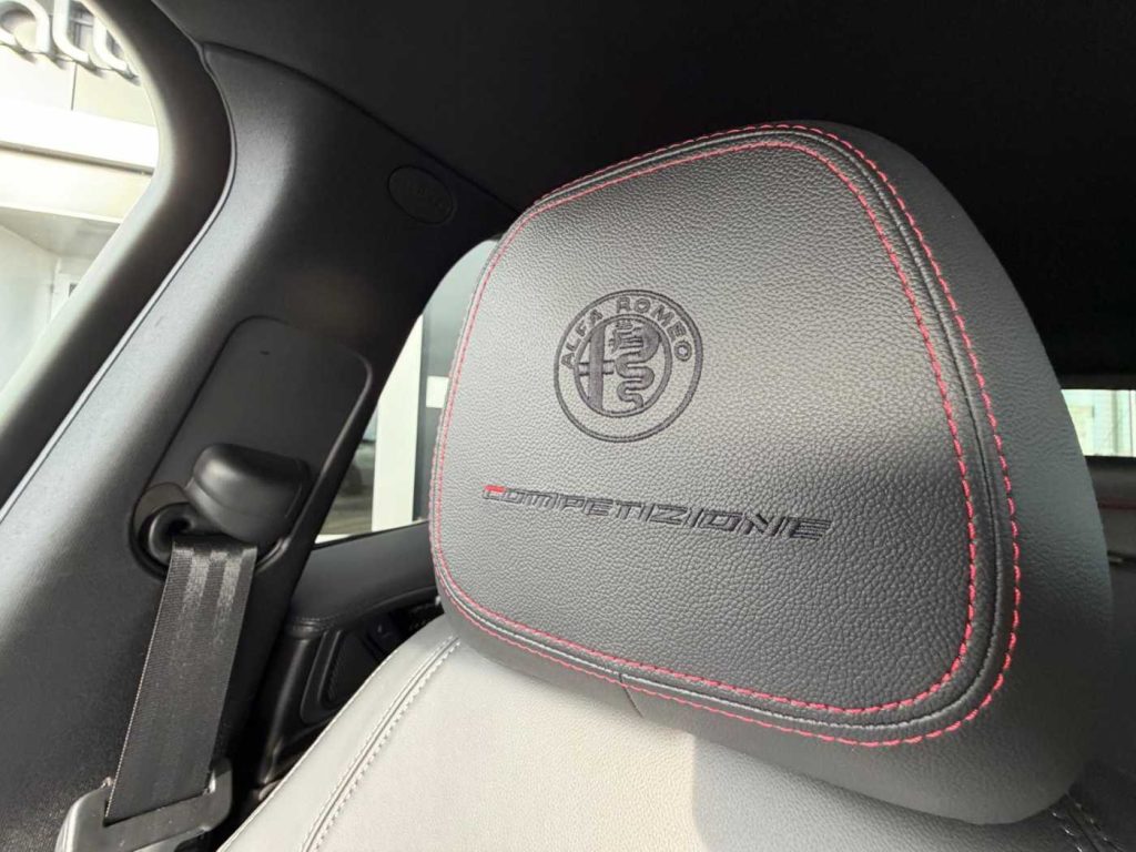 ALFA ROMEO Stelvio 2.2 Turbodiesel 210 CV AT8 Q4 Competizione - 20