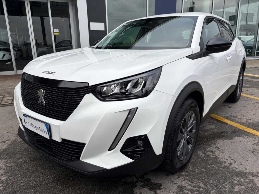 PEUGEOT 2008 PureTech 100 S&S Active - 2