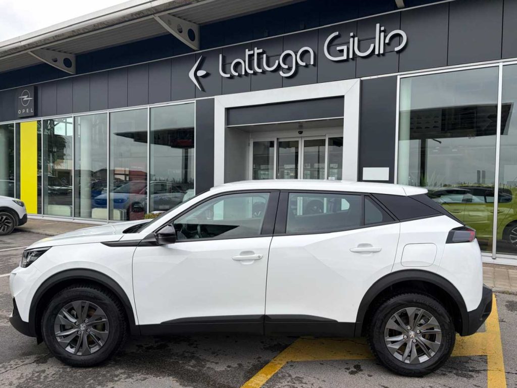 PEUGEOT 2008 PureTech 100 S&S Active - 9