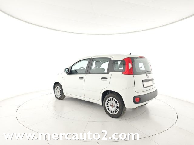 FIAT Panda Bianco pastello