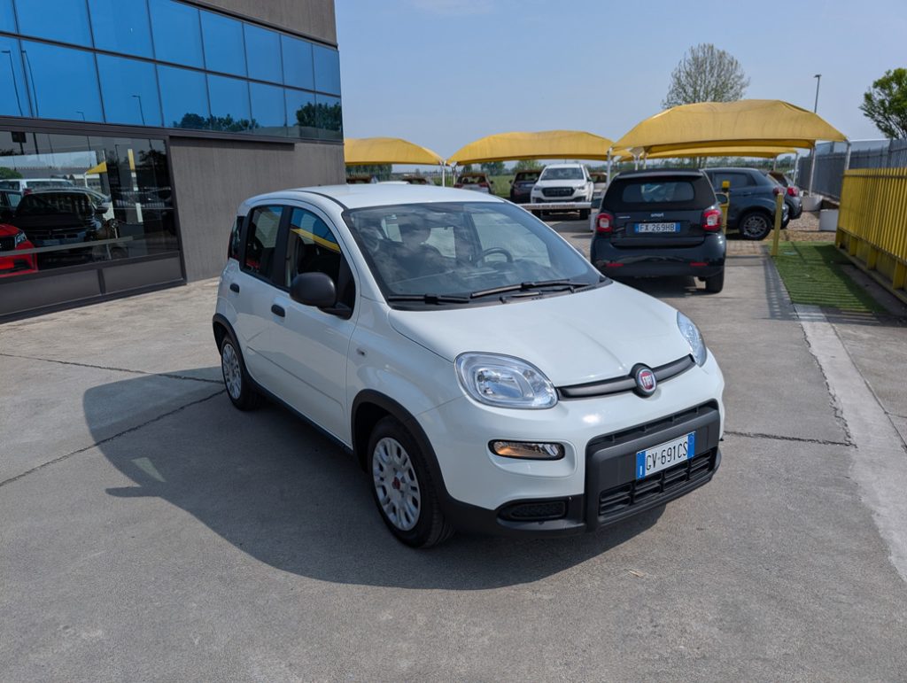 FIAT Panda 1.0 FireFly S&S Hybrid 70CV -OK NEOPATENTATI - 3