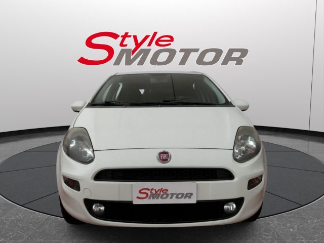FIAT Punto usata - Style Motor