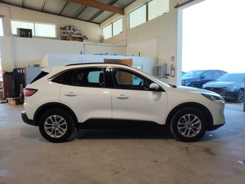 FORD Kuga 1.5 EcoBlue 120 CV aut. 2WD Titanium Business - 4