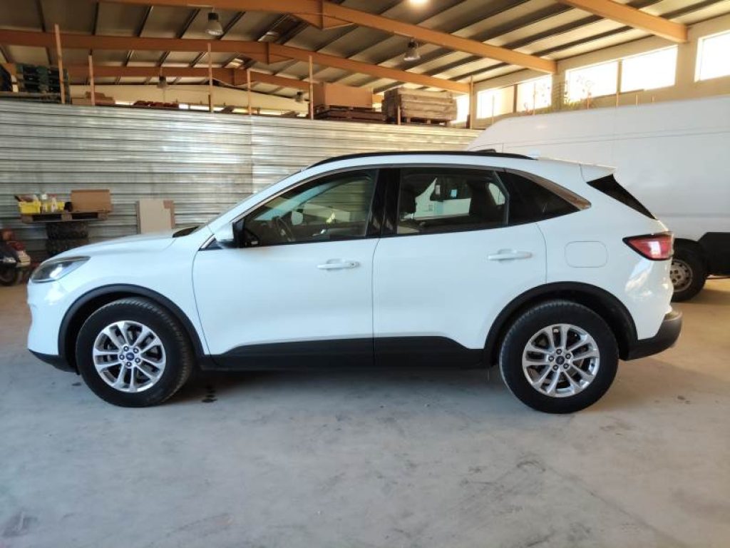 FORD Kuga 1.5 EcoBlue 120 CV aut. 2WD Titanium Business - 5