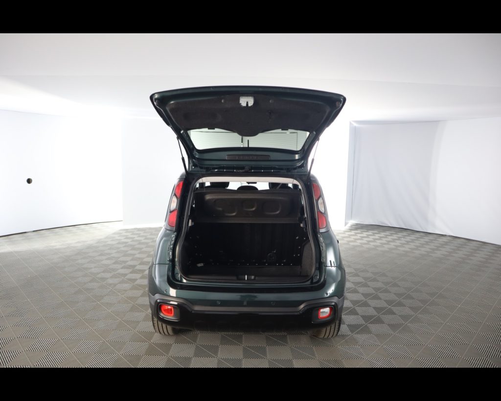 FIAT Pandina III 2024 Cross -  Cross 1.0 firefly hybrid s&s 70 - 19