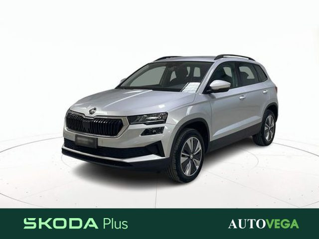 SKODA Karoq Grigio pastello