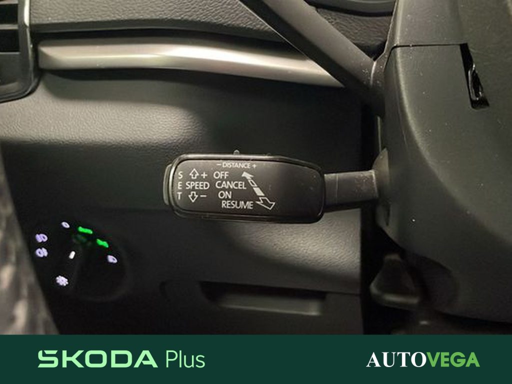 SKODA Karoq 2.0 tdi evo executive 115cv dsg - 16