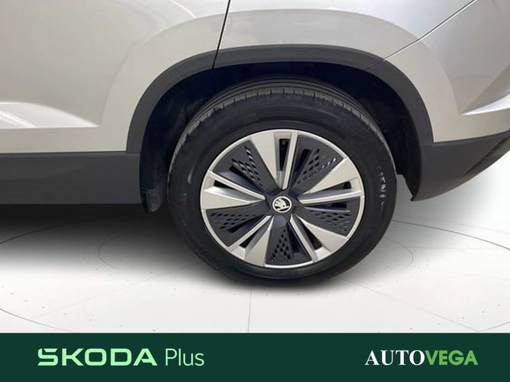 SKODA Karoq 2.0 tdi evo executive 115cv dsg - 19