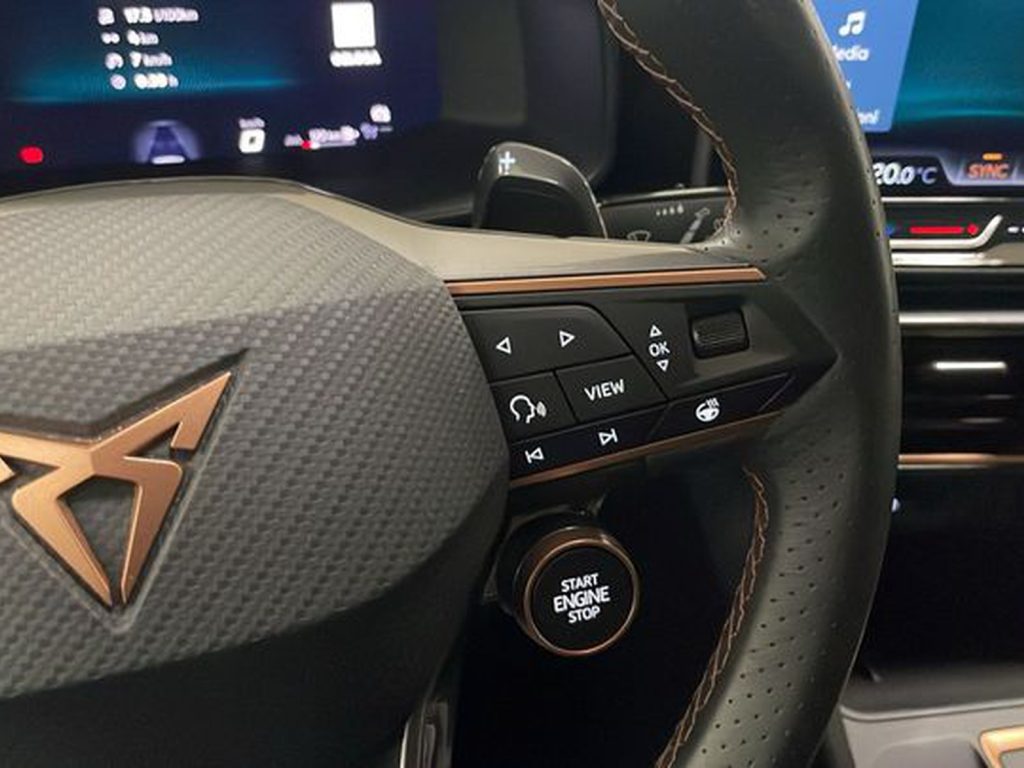 CUPRA Formentor 2.0 tdi 150cv dsg - 16