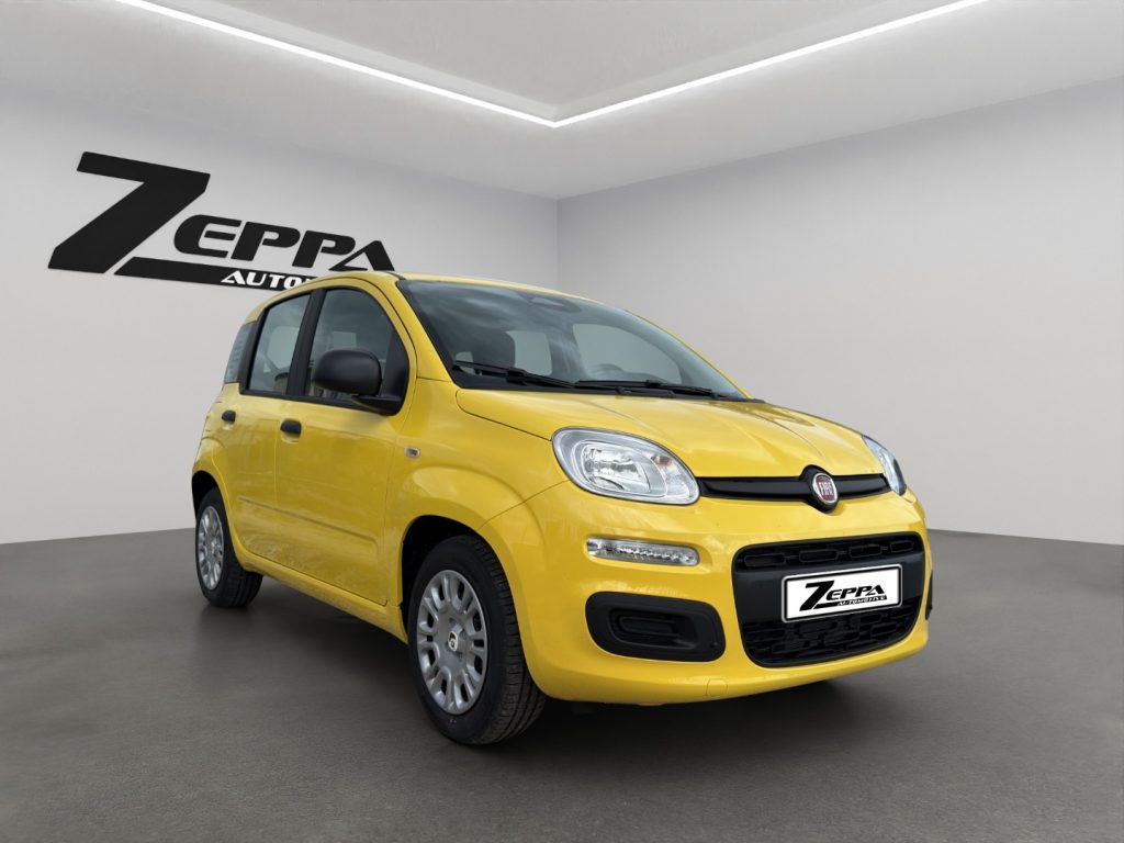 FIAT Pandina 1.0 FireFly 65 CV Hybrid Pop - 7