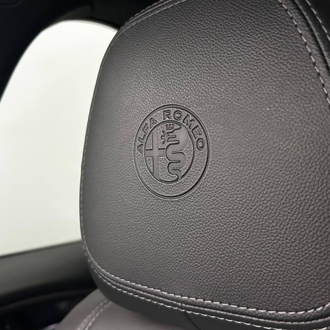 ALFA ROMEO Stelvio 2.2 Turbodiesel 210 CV AT8 Q4 Veloce - 13