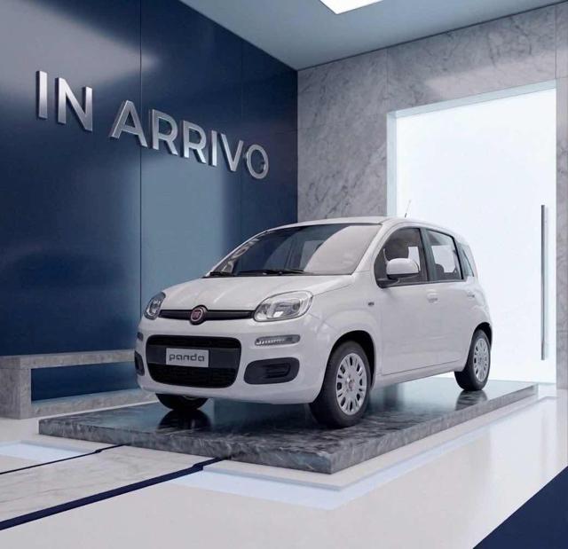 FIAT Panda Bianco pastello