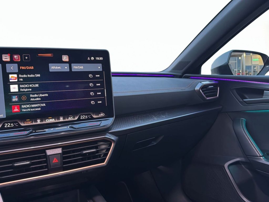 CUPRA Leon 2.0 tdi 150cv dsg - 18