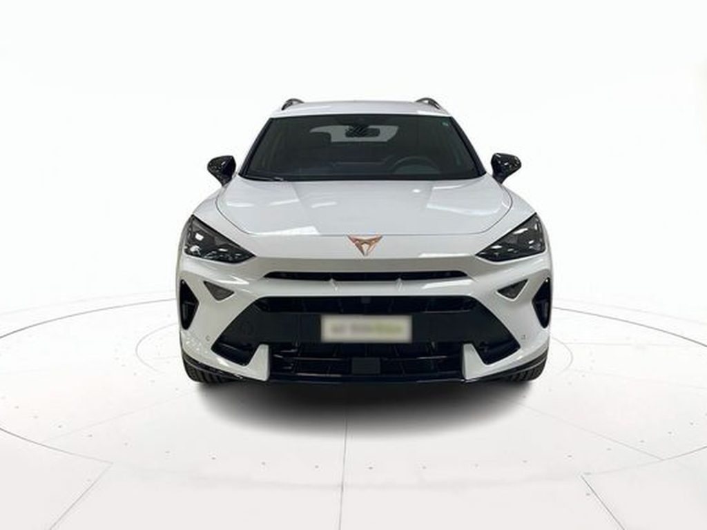 CUPRA Formentor 2.0 tdi 150cv dsg - 2