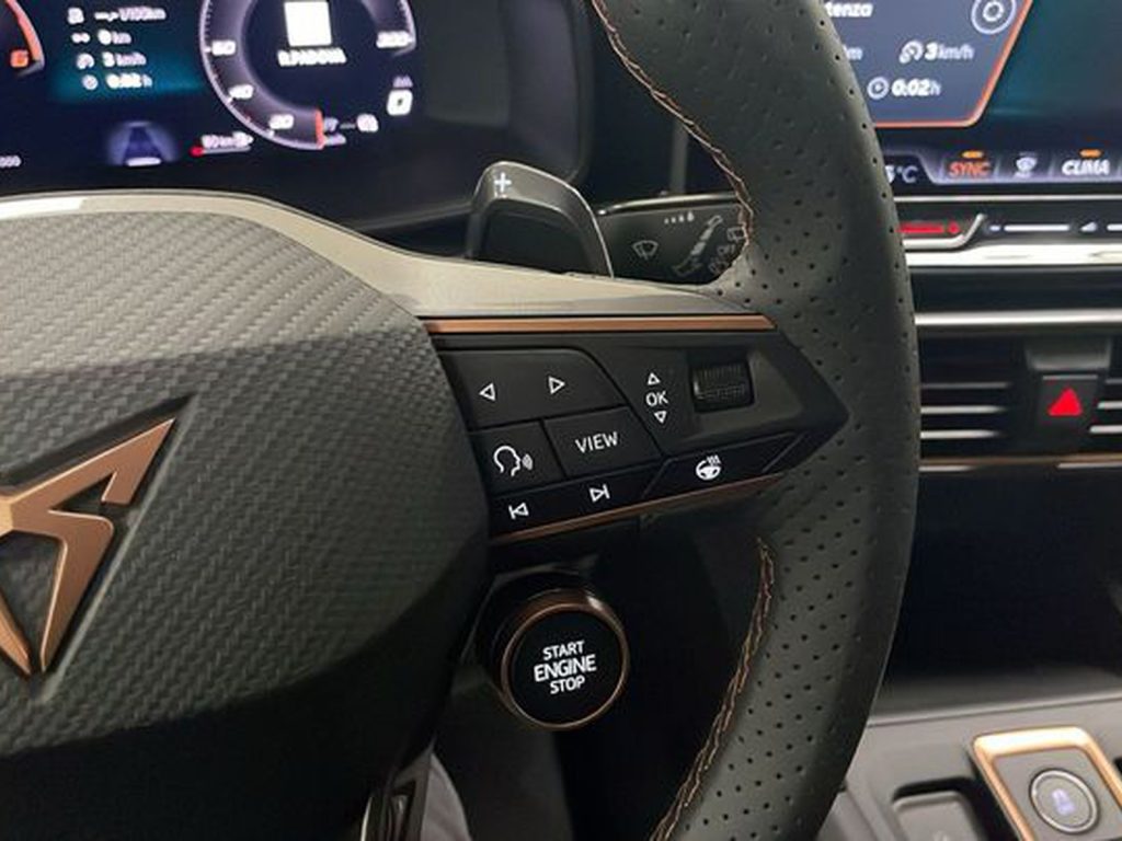 CUPRA Formentor 2.0 tdi 150cv dsg - 16