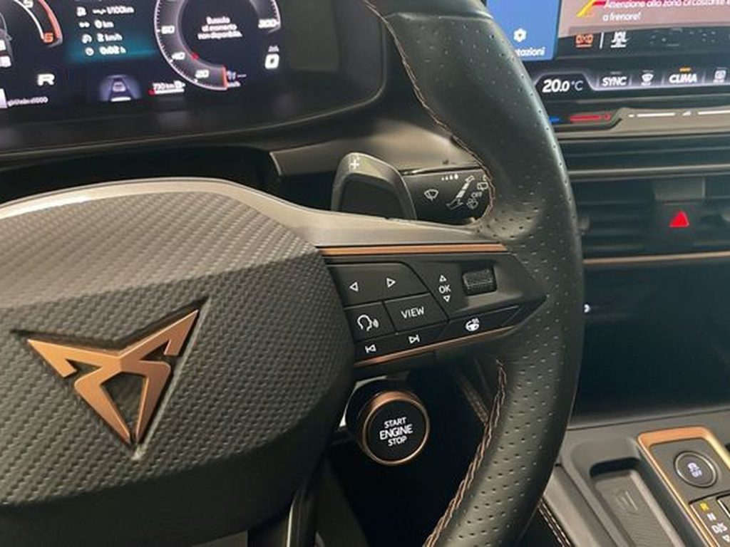 CUPRA Formentor 2.0 tdi 150cv dsg - 15