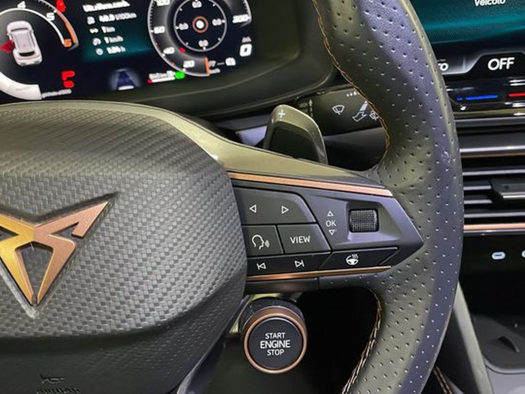 CUPRA Formentor 2.0 tdi 150cv dsg - 11