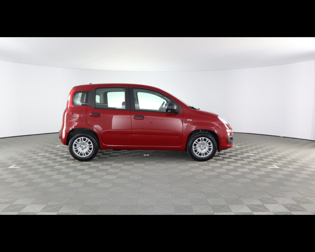 FIAT Panda My25 1.0 70cv Hybrid - 6
