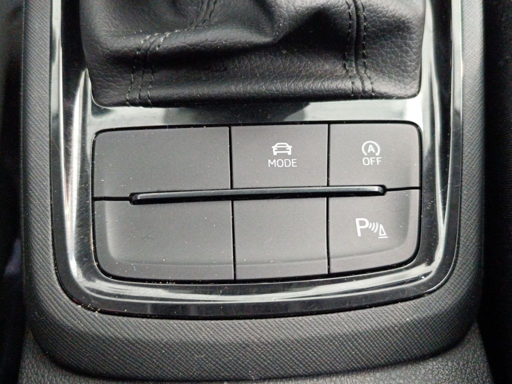 SKODA Kamiq 1.0 TSI 115 CV DSG Black Dots - 21