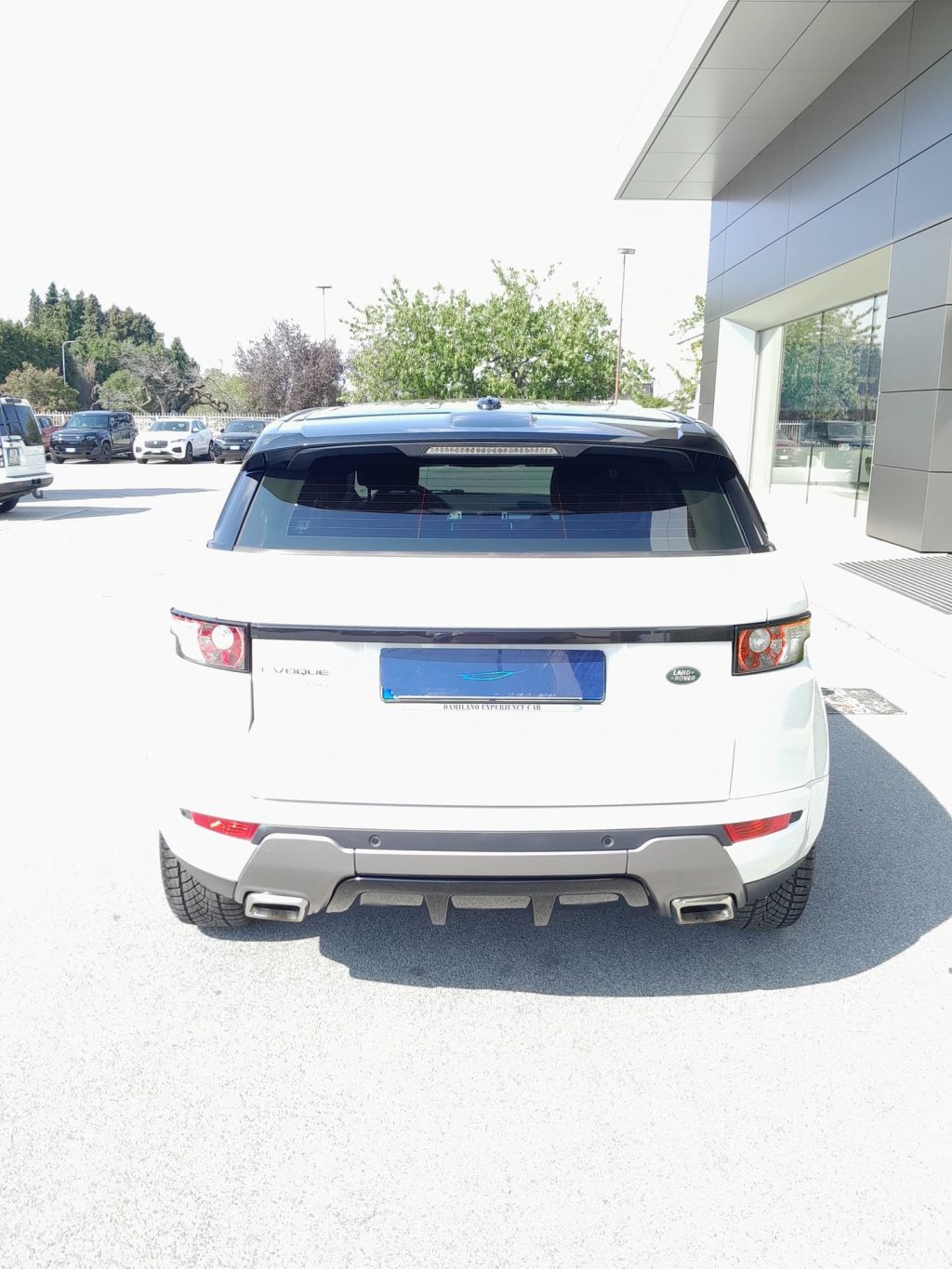 LAND ROVER Range Rover Evoque 2.2 TD4 Dynamic AUTOCARRO - 7