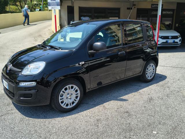 FIAT Panda Azzurro metallizzato