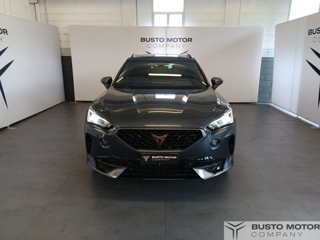 CUPRA Formentor Formentor 2.0 tdi 4drive 150cv dsg - 2