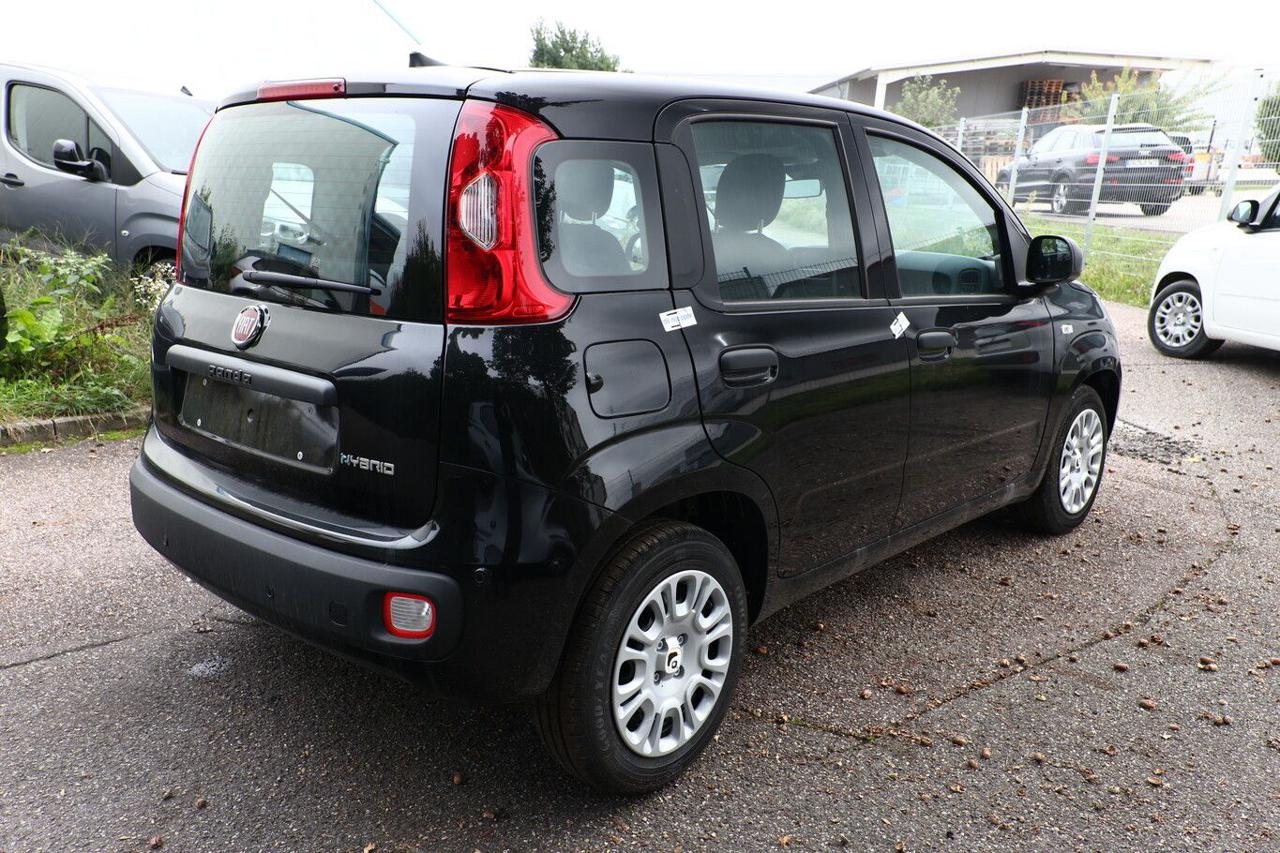 FIAT Pandina 1.0 FireFly 65 CV Hybrid Icon 5 posti - 2