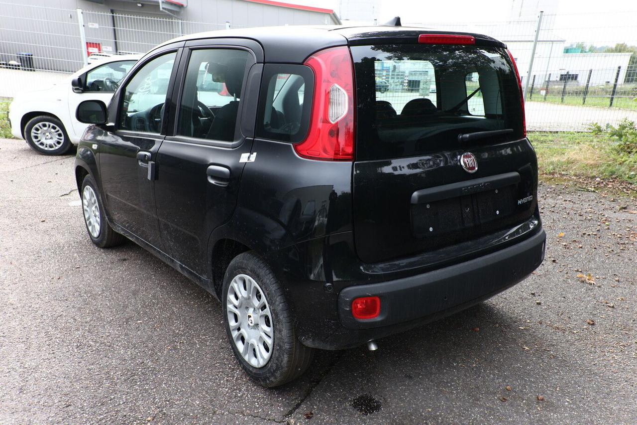 FIAT Pandina 1.0 FireFly 65 CV Hybrid Icon 5 posti - 3