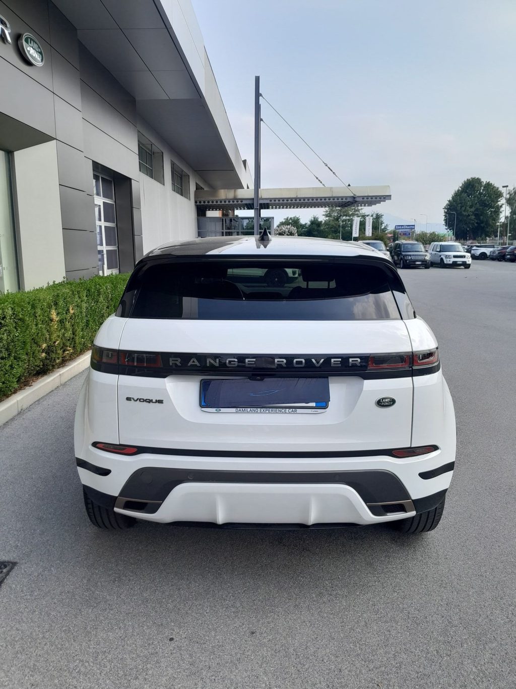 LAND ROVER Range Rover Evoque 2.0 D163 MHEV R-Dynamic S AWD auto - 7