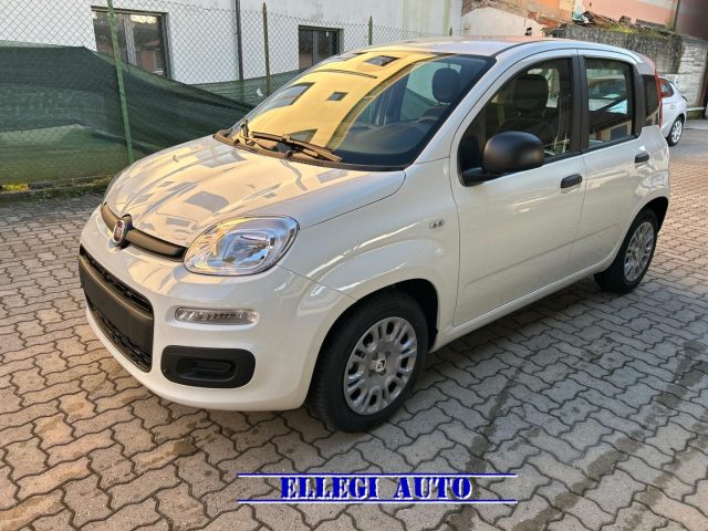 FIAT Panda Bianco extraserie pastello