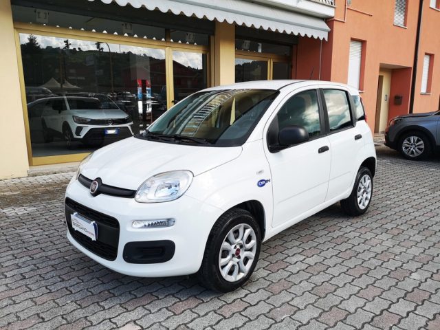 FIAT Panda Bianco pastello
