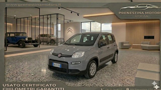 FIAT Panda Grigio pastello