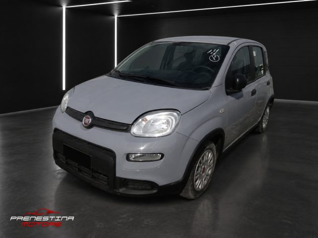 FIAT Panda Grigio pastello